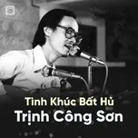 Nghe và tải nhạc Những Tình Khúc Bất Hủ Của Nhạc Sĩ Trịnh Công Sơn Mp3 miễn phí