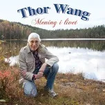 Nghe nhạc Mening I Livet - Thor Wang