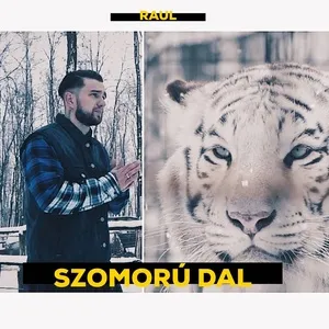 Szomoru Dal (Single) - Raul