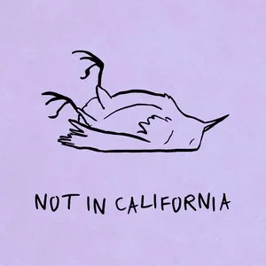 Not In California (Single) - K.Flay