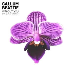 Without You (Dj S.k.t Remix) (Single) - Callum Beattie