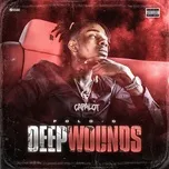 Nghe nhạc Deep Wounds (Single) - Polo G
