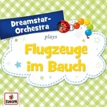 Download nhạc Flugzeuge Im Bauch (Single) online