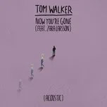 Now You're Gone (Acoustic) (Single) - Tom Walker, Zara Larsson