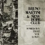 Somebody That You Loved (Single) - Bruno Martini, New Hope Club