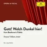 Download nhạc Beethoven: Fidelio, Op. 72: Gott, Welch' Dunkel Hier (Single) miễn phí về điện thoại