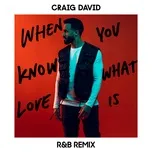 Ca nhạc When You Know What Love Is (R&B Remix) (Single) - Craig David