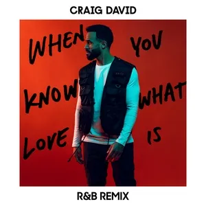 When You Know What Love Is (R&B Remix) (Single) - Craig David