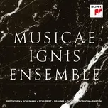 Musicae - Ignis Ensemble, Lee Tae Jung, Chae Gyeongae, V.A