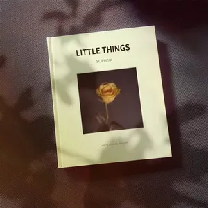 Little Things (Single) - Sophiya