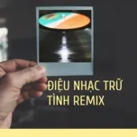 Nghe nhạc Điệu Nhạc Trữ Tình Remix - V.A