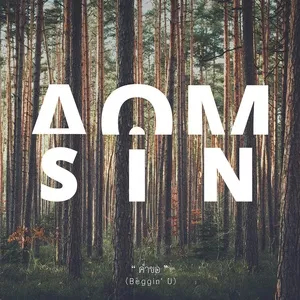 Beggin' U (Single) - AOMSIN