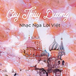 Cây Thùy Dương - Nhạc Nga Lời Việt - V.A