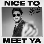 Nghe nhạc Nice To Meet Ya (Single) - Niall Horan