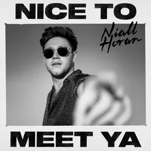 Nice To Meet Ya (Single) - Niall Horan