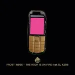 Nghe nhạc The Roof Is On Fire (Single) - Frosti Rege, DJ Kebs