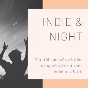 Indie & Night - V.A