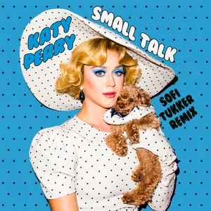 Small Talk (Sofi Tukker Remix) (Single) - Katy Perry