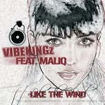 Tải nhạc Zing Like The Wind (Digital Version 2) (EP) trực tuyến