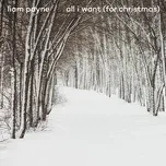 All I Want (For Christmas) (Single) - Liam Payne