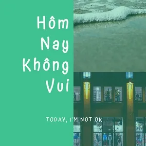 Hôm Nay Không Vui - Today, I'm Not Ok - V.A