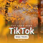 Tải nhạc Zing Mp3 Top Thịnh Hành TikTok (Nhạc Trung) - Part 1 về máy