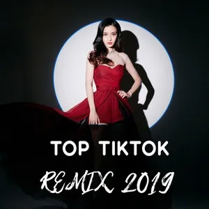 Top TikTok Remix 2019 - V.A