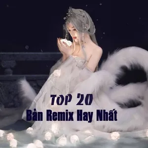Top 20 Bản Remix Hay Nhất - V.A