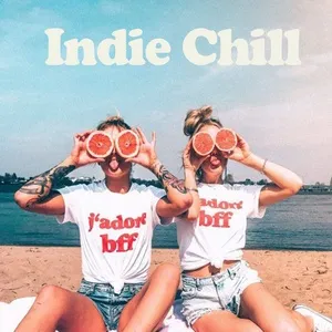 Indie Chill - V.A