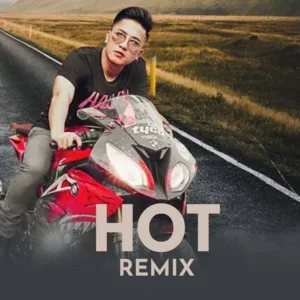 Hot Remix - V.A