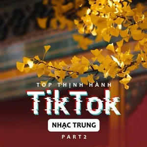 Top Thịnh Hành TikTok (Nhạc Trung) - Part 2 - V.A