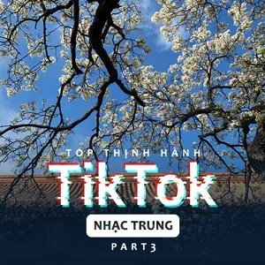 Top Thịnh Hành TikTok (Nhạc Trung) - Part 3 - V.A