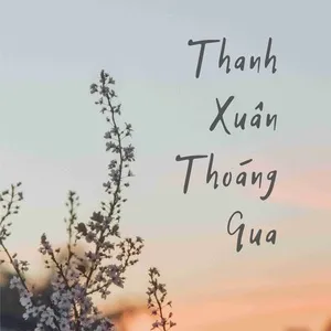 Thanh Xuân Thoáng Qua - V.A