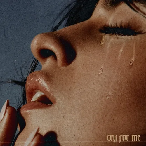 Cry For Me (Single) - Camila Cabello - NhacCuaTui