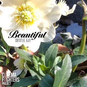 Beautiful (Digital Single) - Crystal Kay