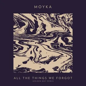 All The Things We Forgot (The Golden Boy Remix) (Single) - Moyka