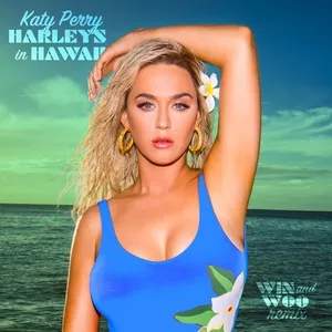 Harleys In Hawaii (Win And Woo Remix) (Single) - Katy Perry, Win and Woo
