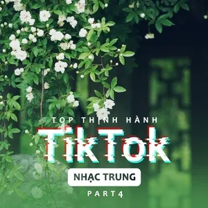 Top Thịnh Hành TikTok (Nhạc Trung) - Part 4 - V.A