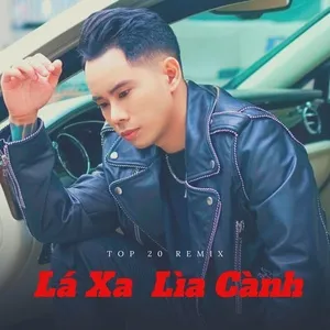 Top 20 Remix - Lá Xa Lìa Cành - V.A