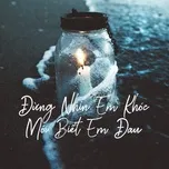 Nghe nhạc Đừng Nhìn Em Khóc Mới Biết Em Đau - V.A