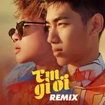Em Gì Ơi Remix - V.A