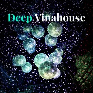 Deep Vinahouse - V.A