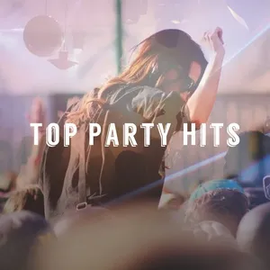 Top Party Hits - V.A