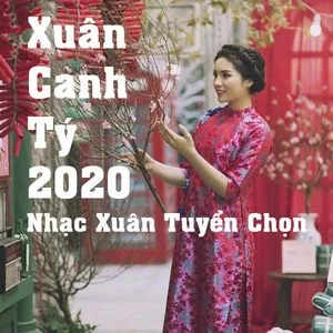 Xuân Canh Tý 2020 - Nhạc Xuân Tuyển Chọn - V.A
