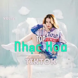 Top Nhạc Hoa TikTok (Vol. 2) - V.A