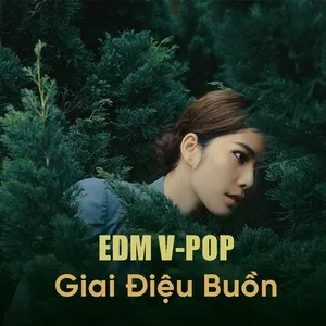 EDM Việt Giai Điệu Buồn - V.A