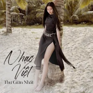 Nhạc Việt Thư Giãn Nhất - V.A