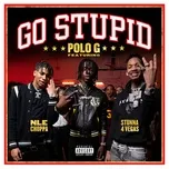 Nghe Ca nhạc Go Stupid (Single) - Polo G, Stunna 4 Vegas, NLE Choppa, V.A