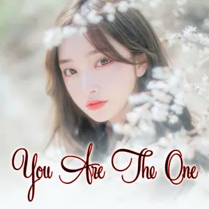 You Are The One - V.A