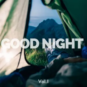 Good Night (Vol. 1) - V.A